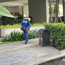 Công ty diệt côn trùng