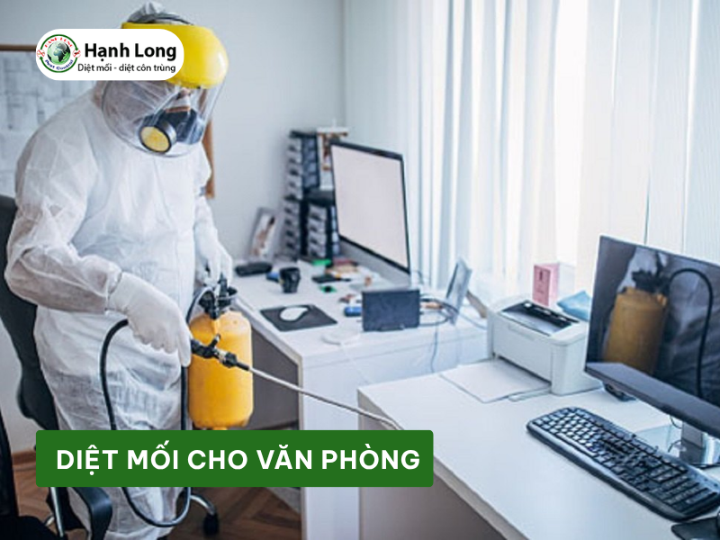 Diệt mối cho văn phòng