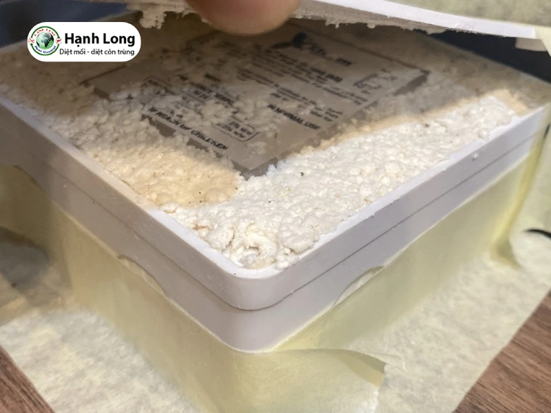 diệt mối Bình Tân