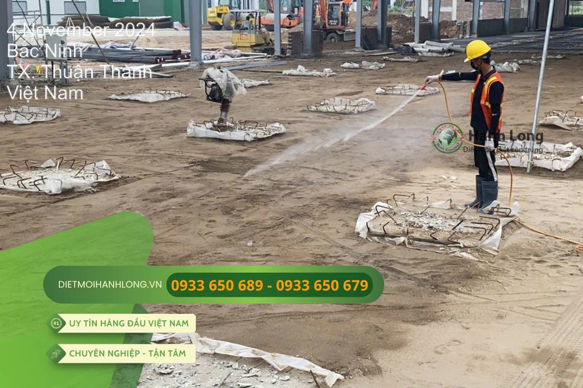 Triển khai phun thuốc chống mối cho nền móng