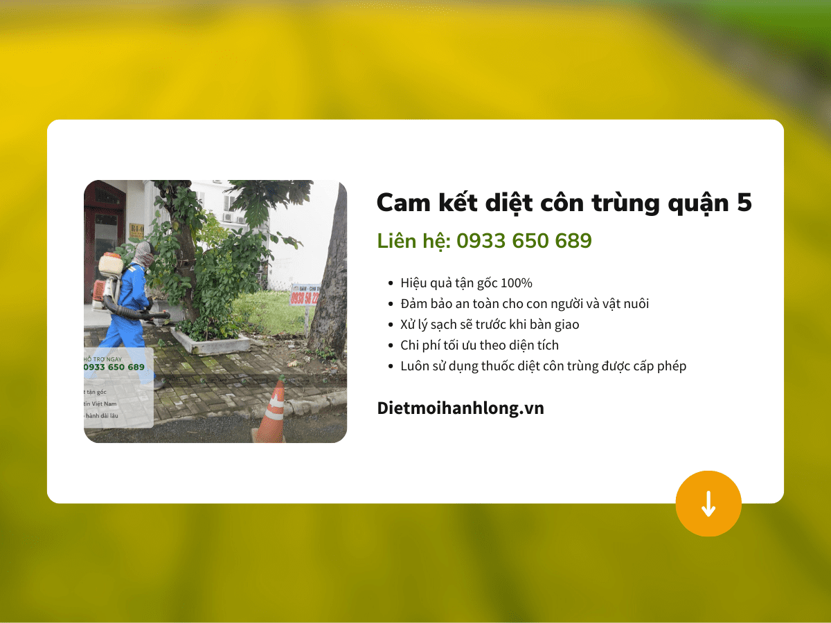 Cam kết diệt côn trùng quận 5 hiệu quả
