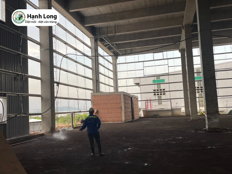 công ty diệt mối quận 2