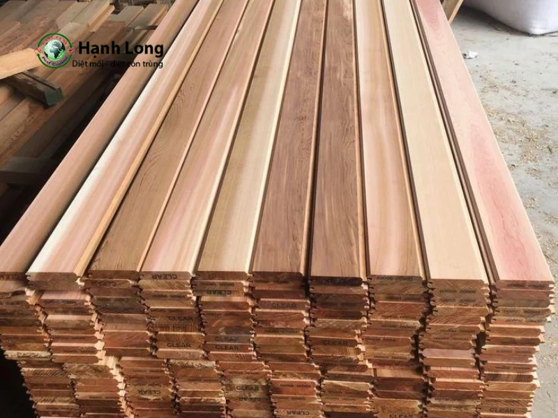 diệt côn trùng tại nhà