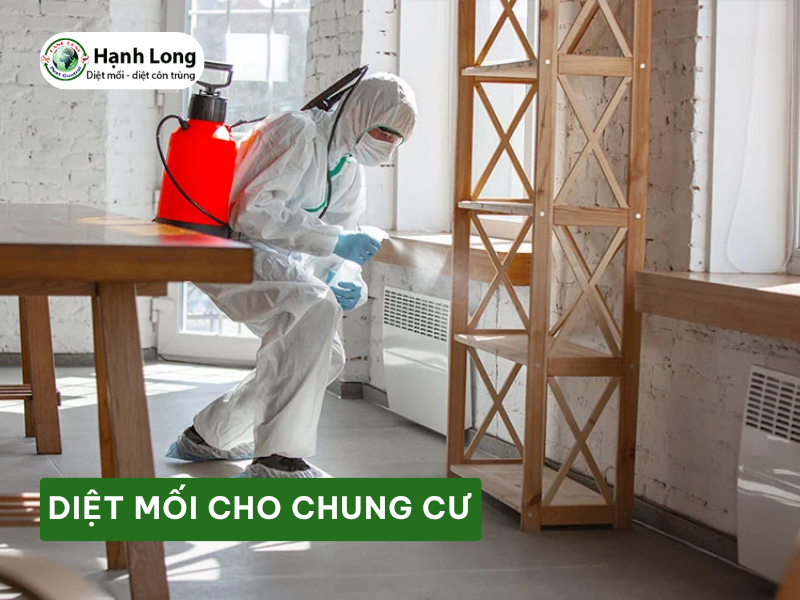 Diệt mối cho chung cư