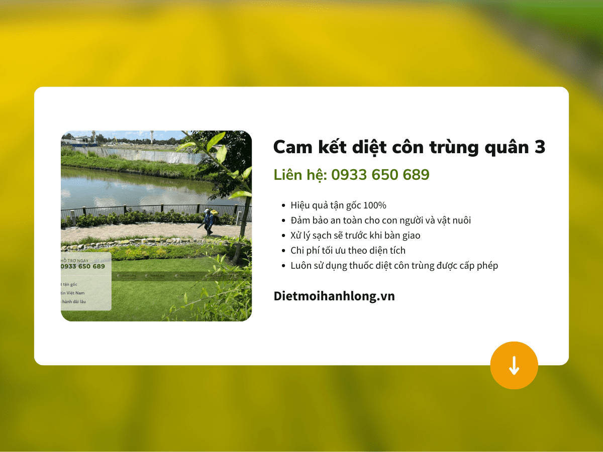 Cam kết khi diệt côn trùng quận 2