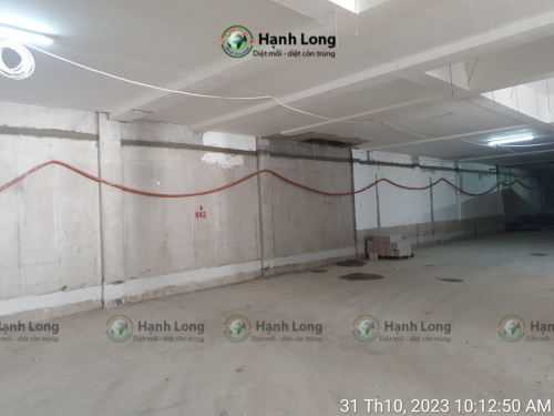 Triển khai thi công chống mối cho dự án Celesta Rise