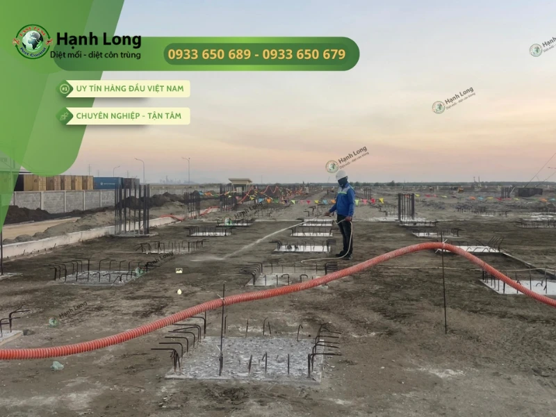 diệt mối nhà mới xây