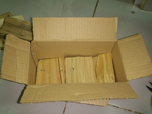 Hộp nhử mối giá rẻ – Hướng dẫn cách sử dụng hiệu quả