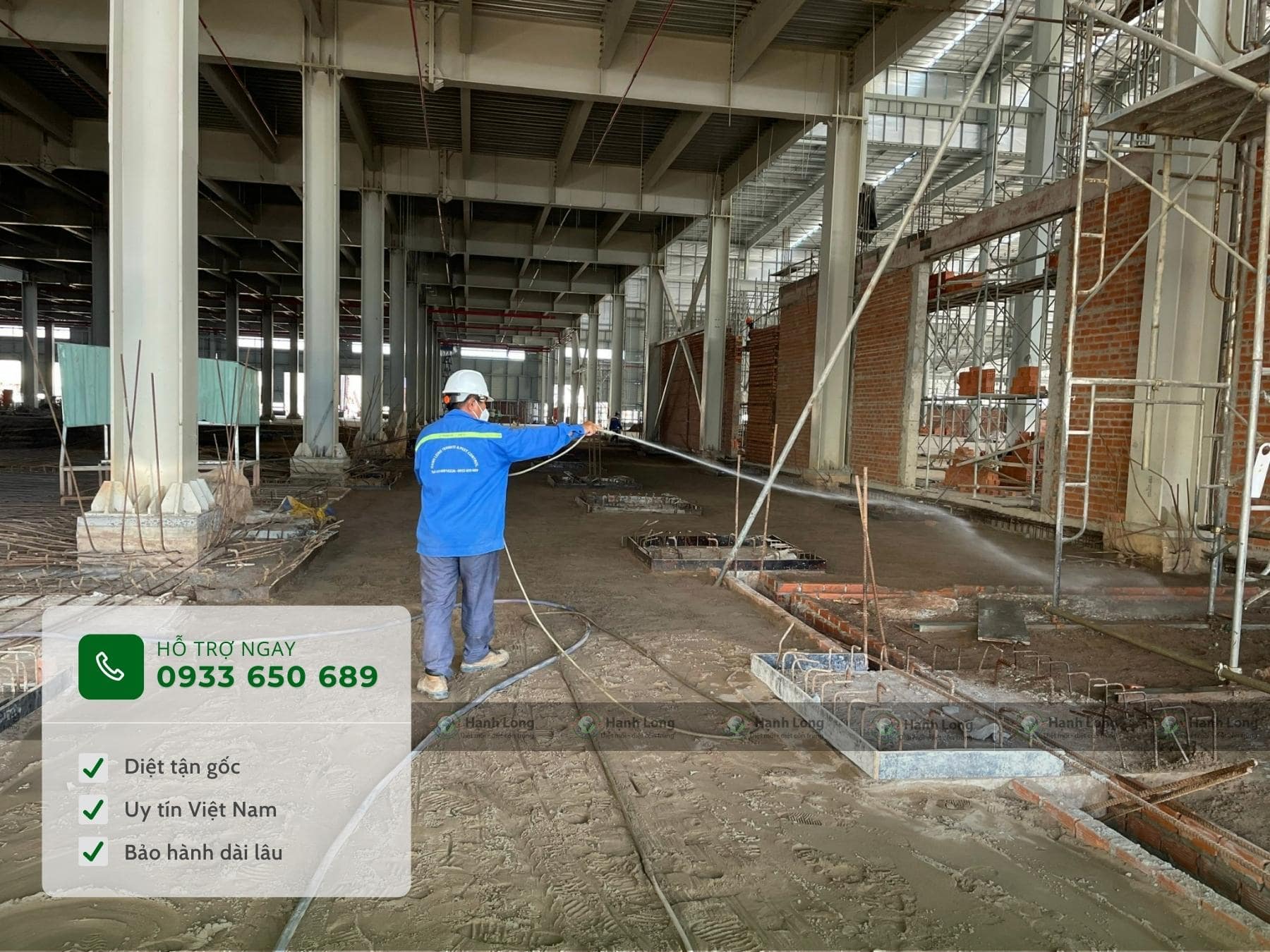 Phòng Chống Mối Công Trình Tại Đồng Nai