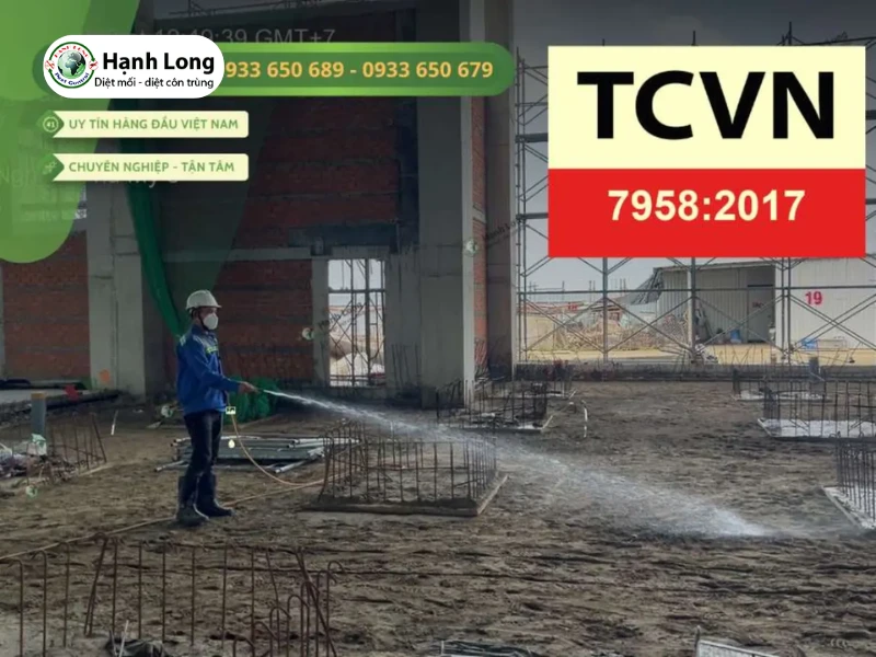 cách trị mối mọt ăn gỗ