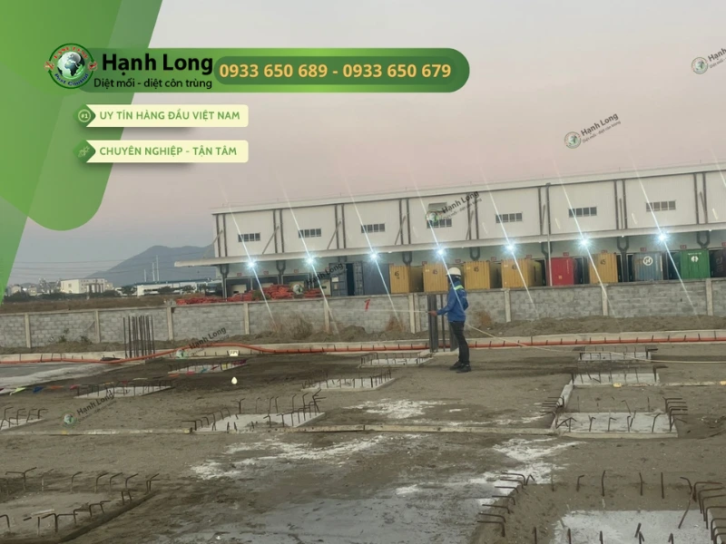 Quy trình chống mối đạt chuẩn kỹ thuật tại Hạnh Long