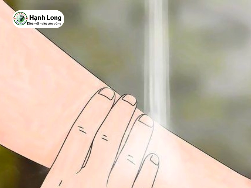 mối cánh có cắn không