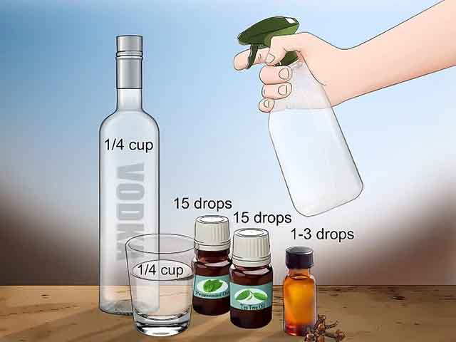 Tự chế thuốc đuổi gián với Dầu đinh hương