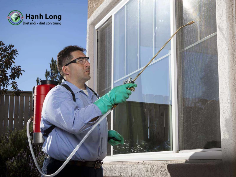 Cách thực hiện và lưu ý khi phun thuốc diệt muỗi tại nhà