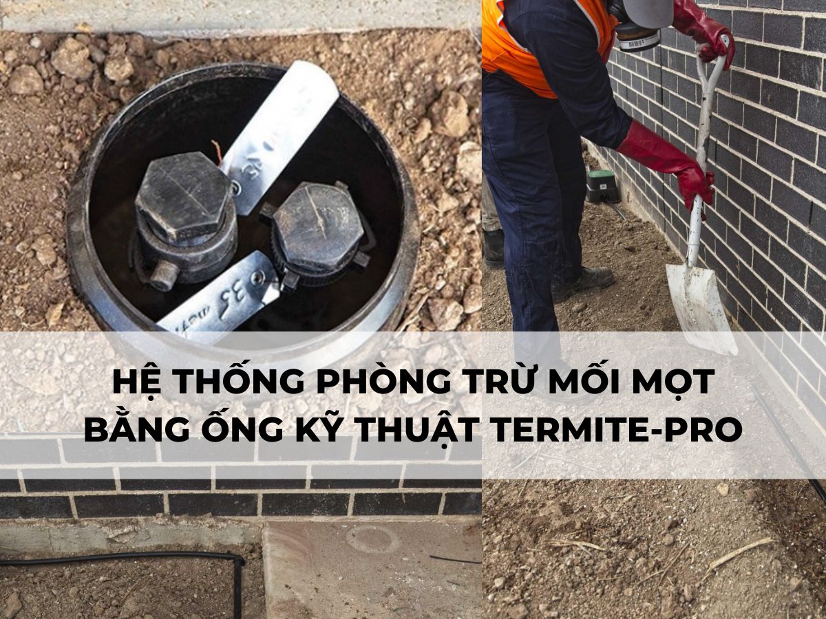 Hệ thống phòng trừ mối mọt bằng ống kỹ thuật TERMITE-PRO