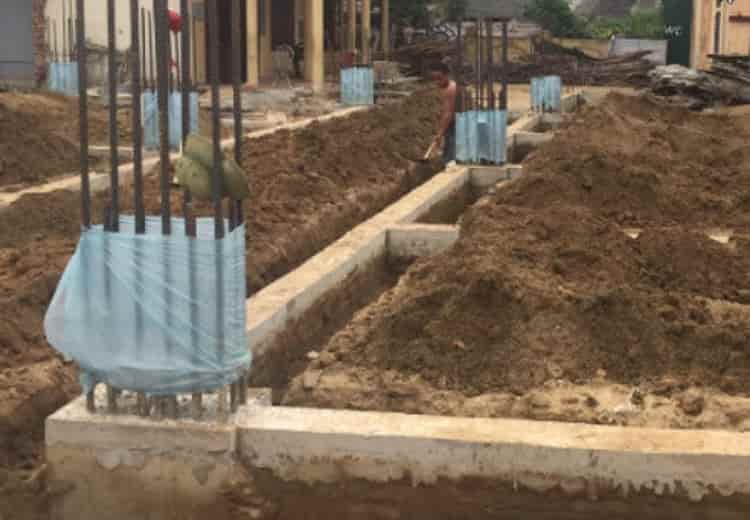 Phòng chống mối cho công trình tại Đồng Nai