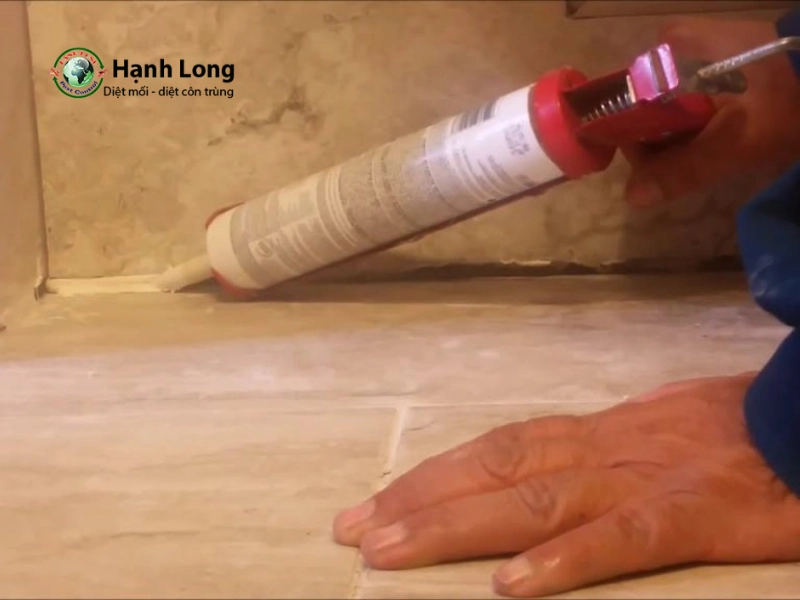 xịt côn trùng tại nhà