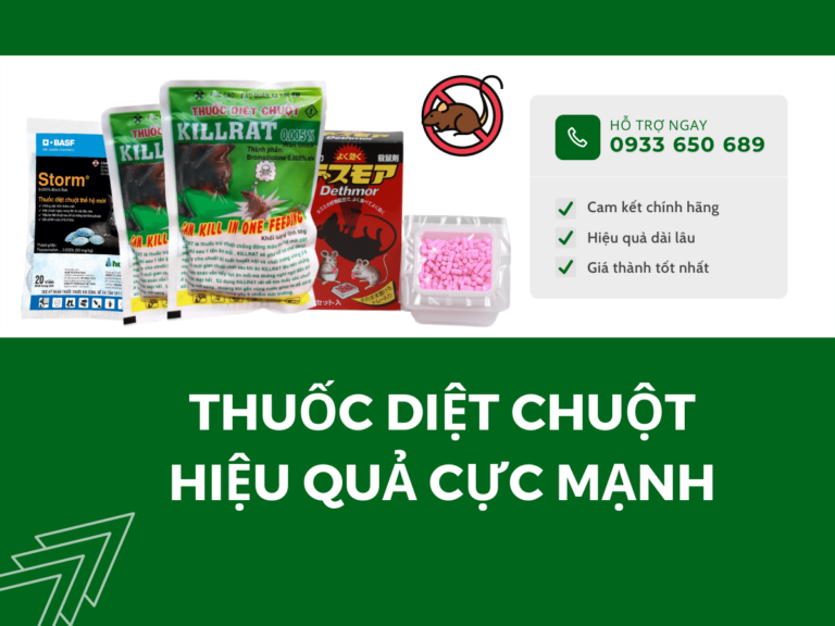 Top 3 thuốc diệt chuột sinh học hiệu quả, giá tốt