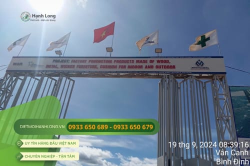 Lắp ống bảo trì Termite Pro cho nhà máy sản xuất đồ gỗ tại Bình Định