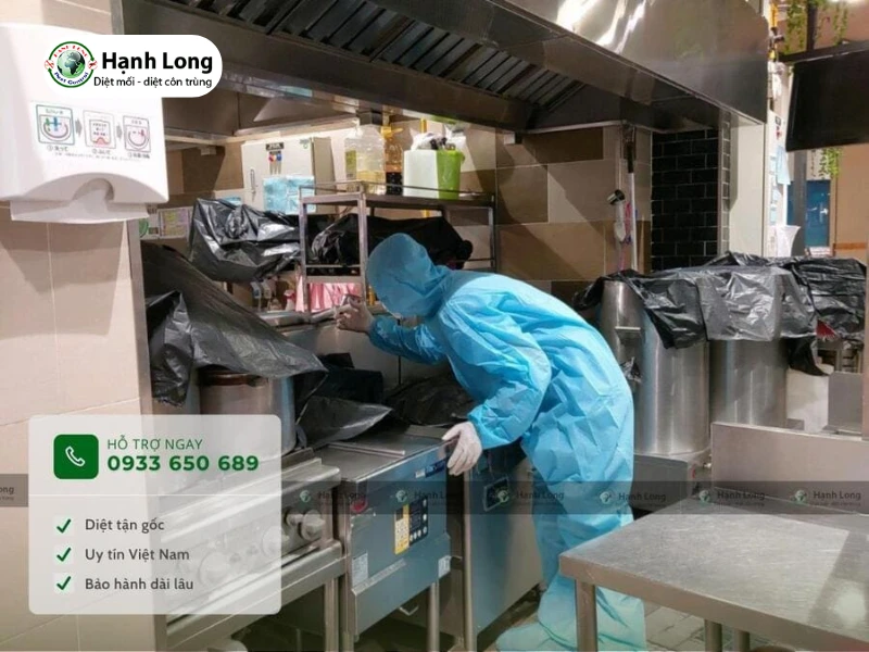 Diệt mối quán cafe