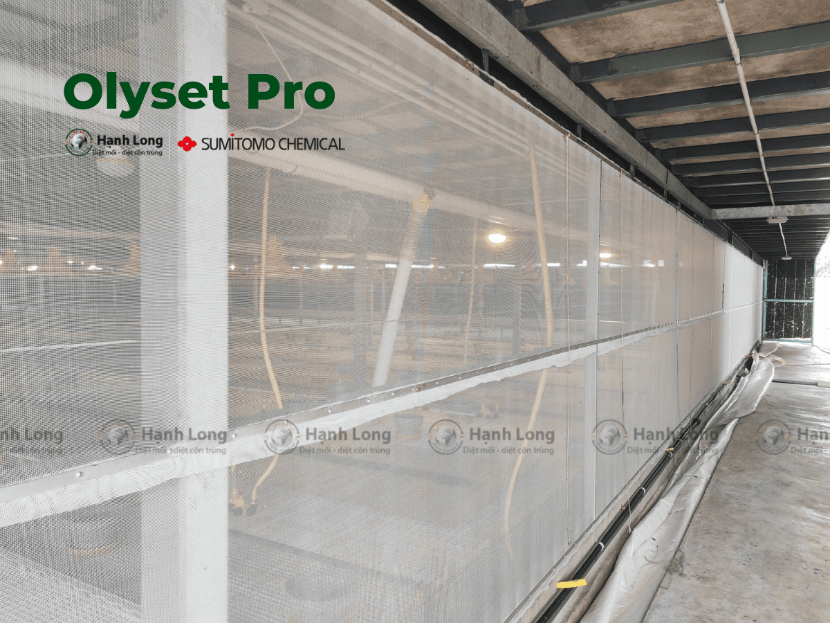 Lưới chống côn trùng nông nghiệp – Olyset Pro