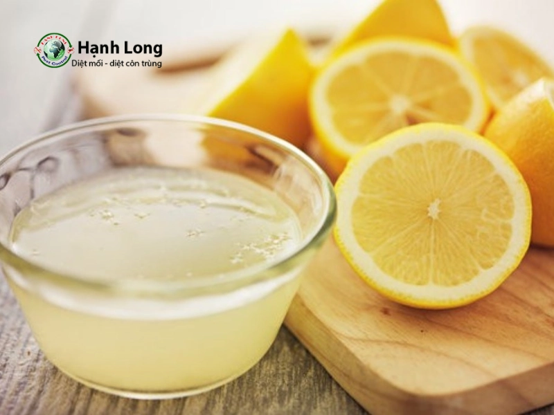 diệt côn trùng tại nhà