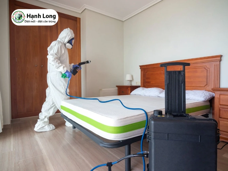 đơn vị diệt mối cho khách sạn 