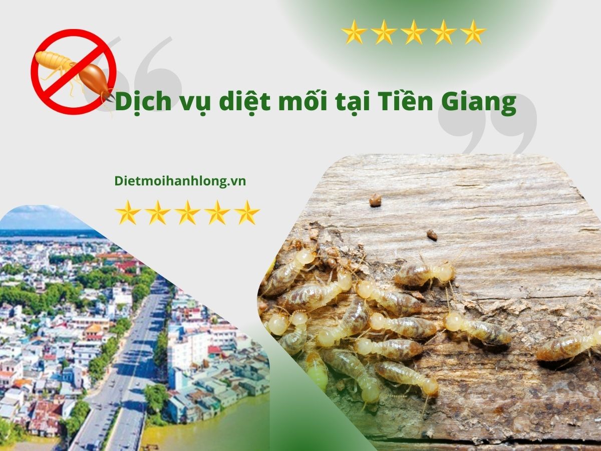 Diệt Mối Tận Gốc Tại Tiền Giang