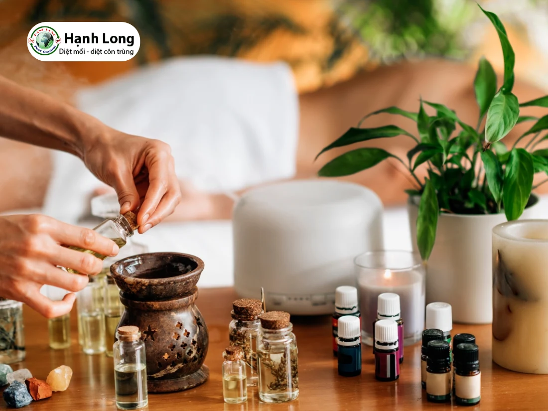 cách tiêu diệt kiến ba khoang