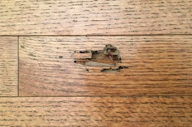 5 Cách xử lý gỗ chống mối mọt hiệu quả bạn cần biết