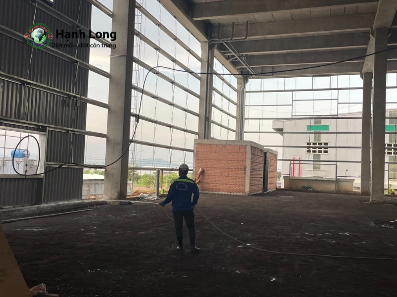 Dịch vụ diệt rệp