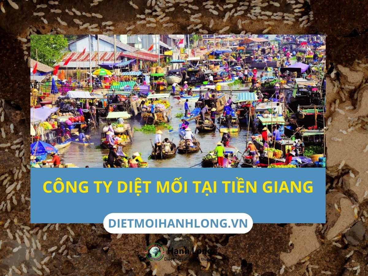 Công ty diệt mối tại Tiền Giang