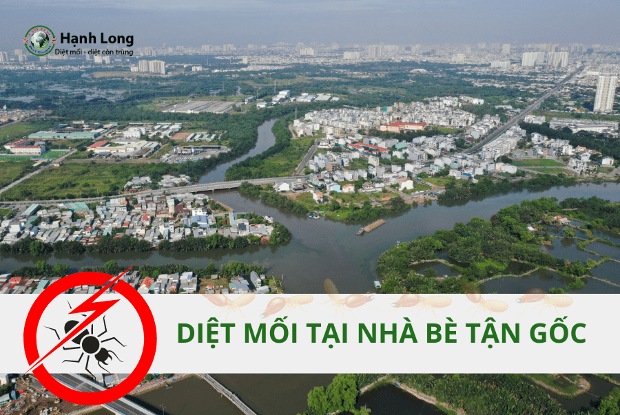 Diệt Mối Tận Gốc Huyện Nhà Bè