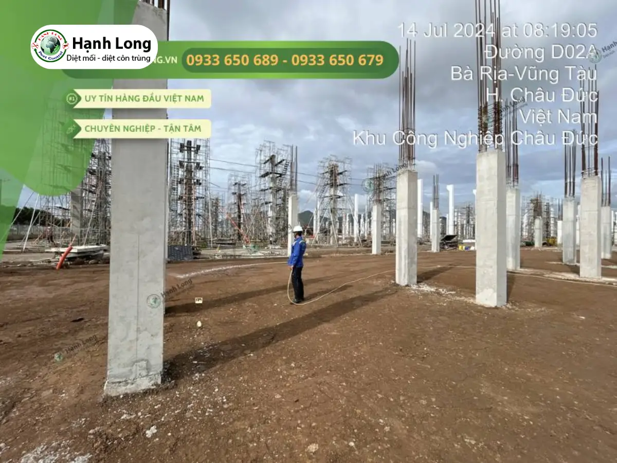 phòng chống mối