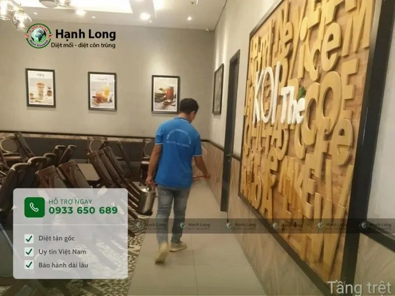 dịch vụ diệt ruồi