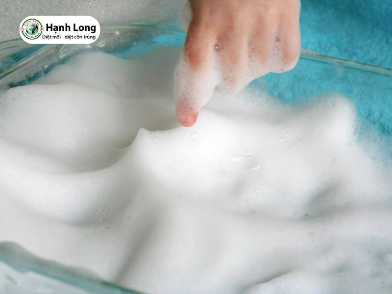 Thao tác diệt mối bằng xà phòng đơn giản