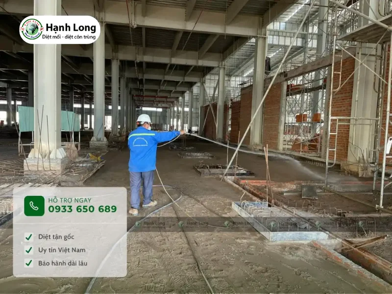 cách diệt mối tủ bếp