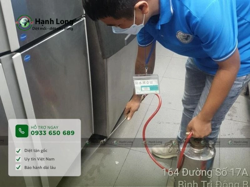 Dịch vụ diệt kiến