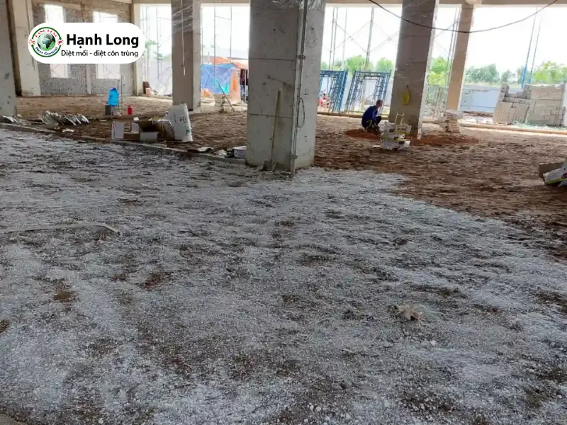 Diệt côn trùng nhà máy