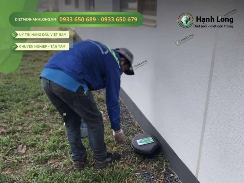 công ty diệt chuột