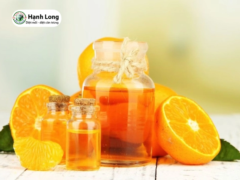 diệt mối tủ bếp