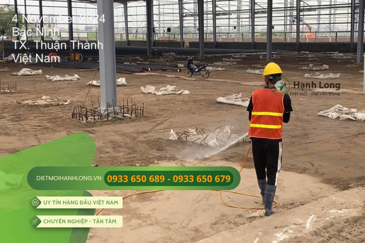 Triển khai phun thuốc chống mối cho nền móng