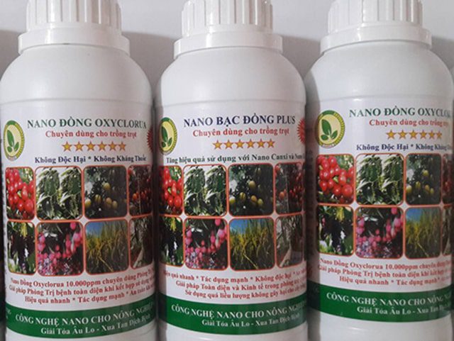 7 Cách diệt ruồi vàng đục quả AN TOÀN, HIỆU QUẢ