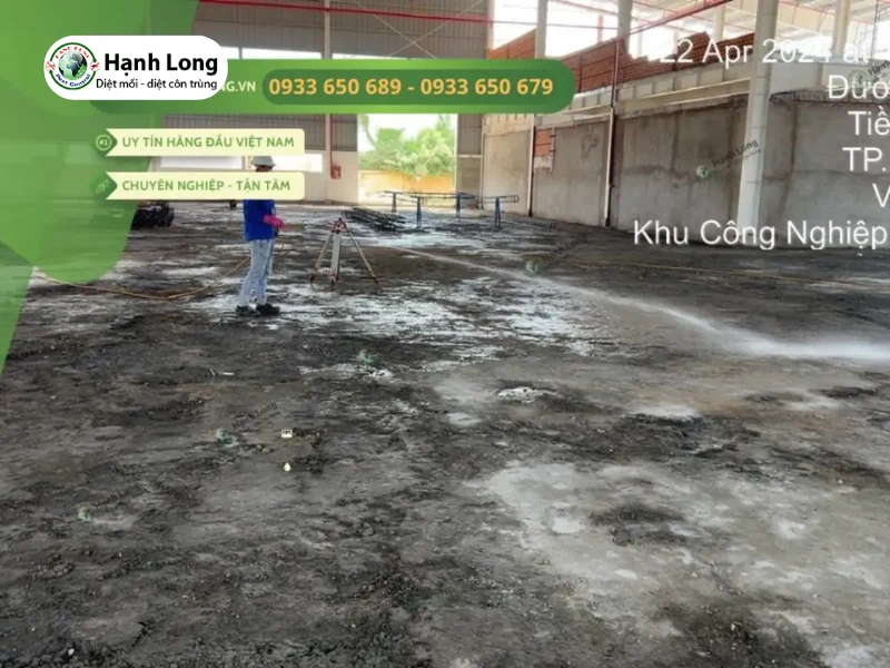 Dịch vụ diệt mọt gỗ