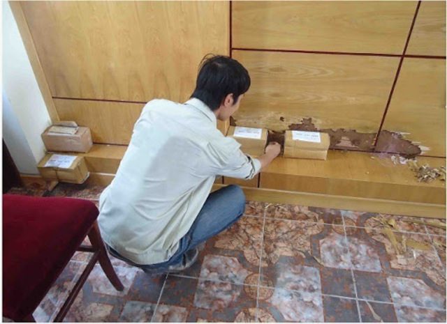 diet-moi-tai-can-tho