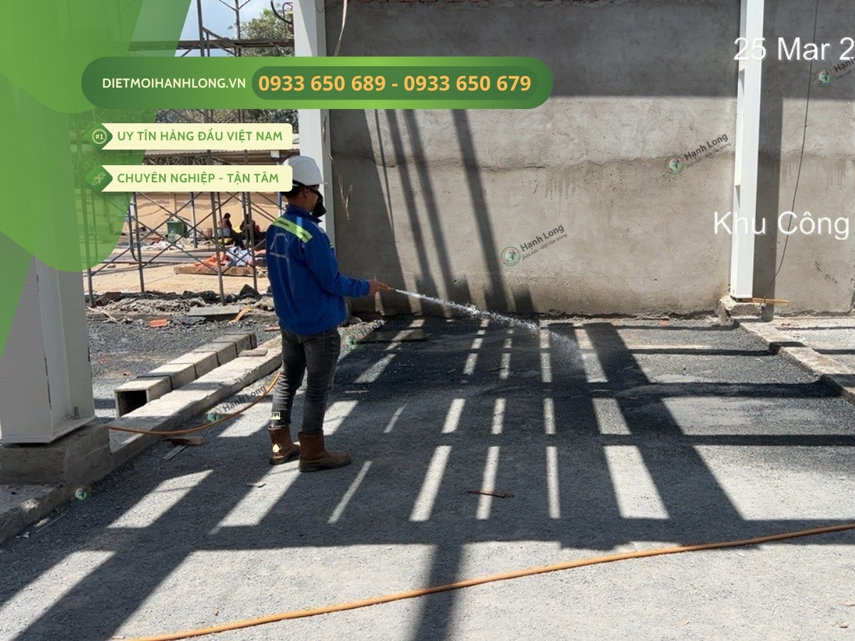 Thi công chống mối tại Mỹ Tho, Tiền Giang