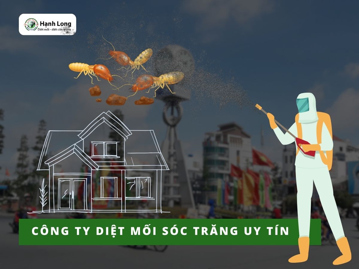 Đơn vị diệt mối Sóc Trăng hàng đầu