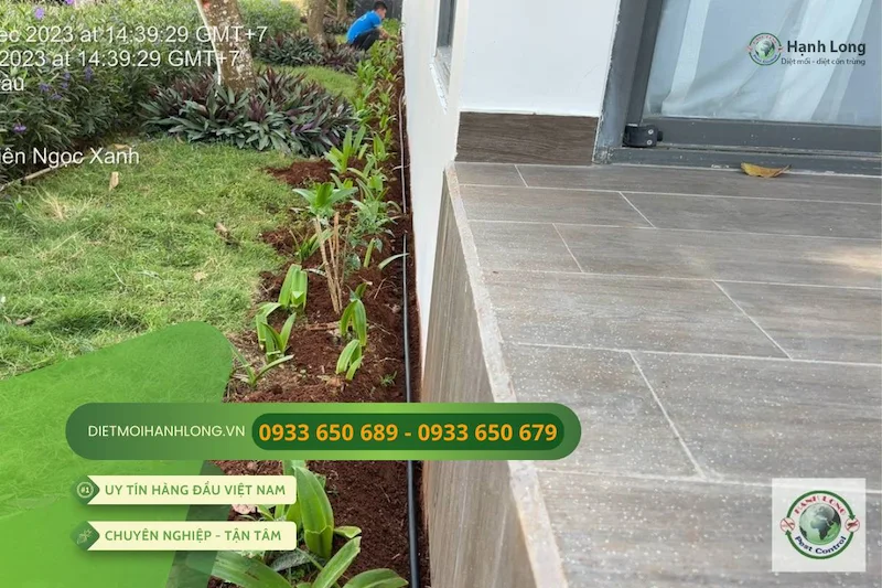 tuổi thọ của mối