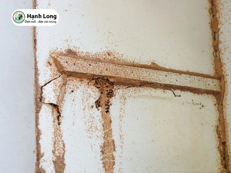 giá diệt mối khu công nghiệp 