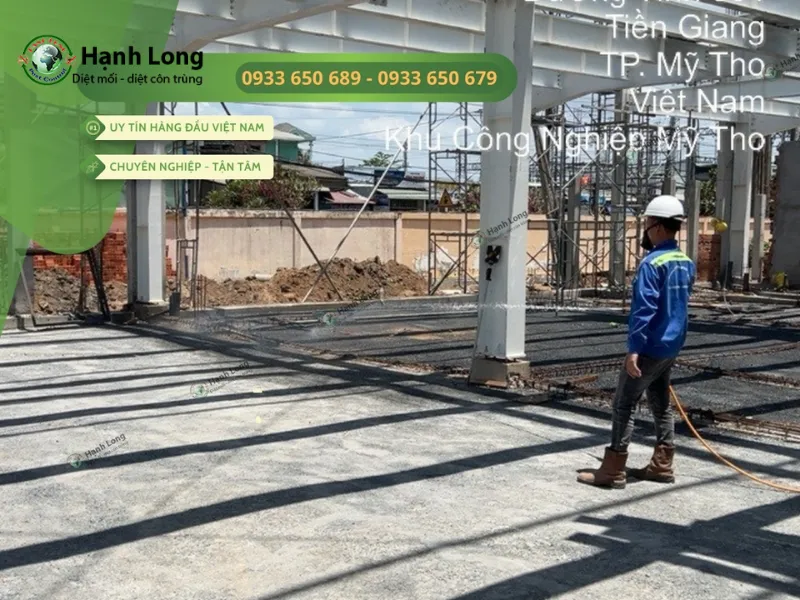 Giải pháp xử lý mối uy tín, nhanh chóng từ Hạnh Long